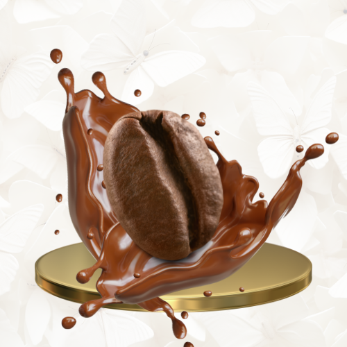 12x Coffee Bean Covering Chocolate